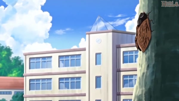 Nama lo re namakemono the animation 1